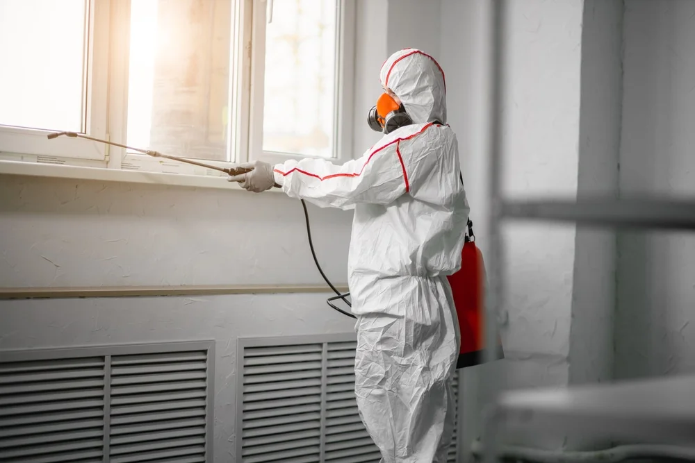 Professional mold remediation services in Waite Park, MN